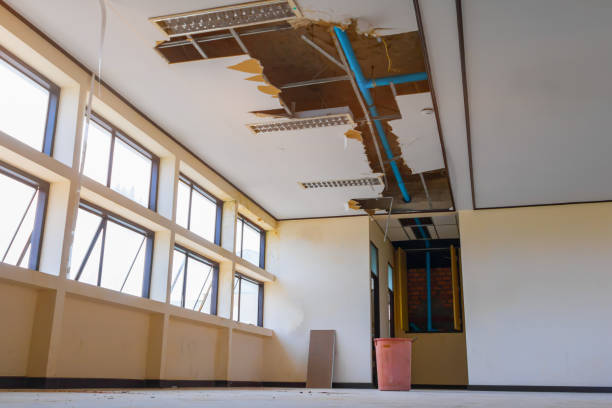 Best Water damage cleanup near me  in Carnation, WA