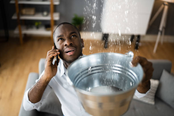 Best Sewage cleanup and water damage restoration  in Carnation, WA