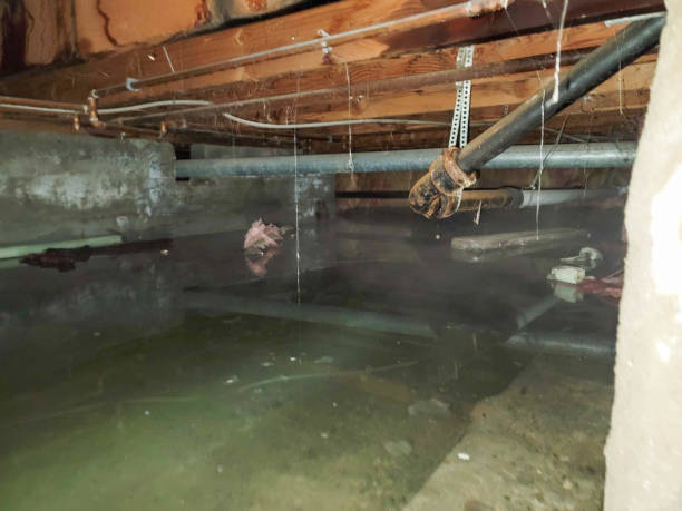 Reliable Carnation, WA Water damage restoration Solutions