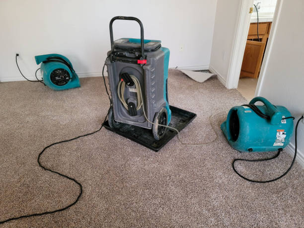 Best 24/7 water damage repair  in Carnation, WA