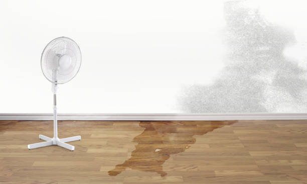Best Water damage restoration near me  in Carnation, WA