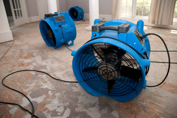 Best Residential water damage restoration  in Carnation, WA
