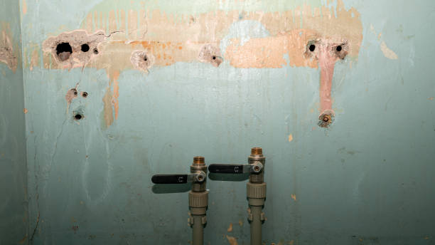 Best Fire Damage Restoration  in Carnation, WA
