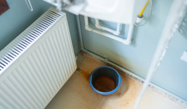 Best Basement water damage restoration  in Carnation, WA