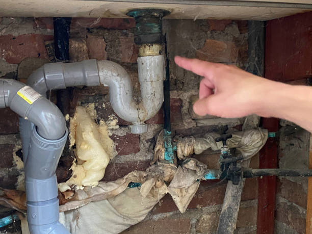 Best Mold removal after water damage  in Carnation, WA