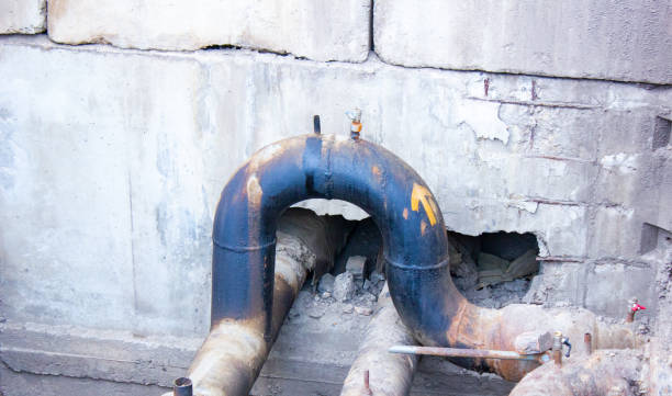 Best Water damage restoration near me  in Carnation, WA