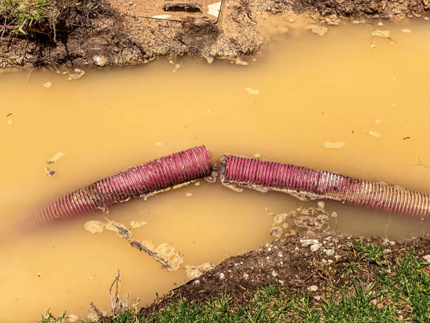 Best Water damage restoration specialists  in Carnation, WA